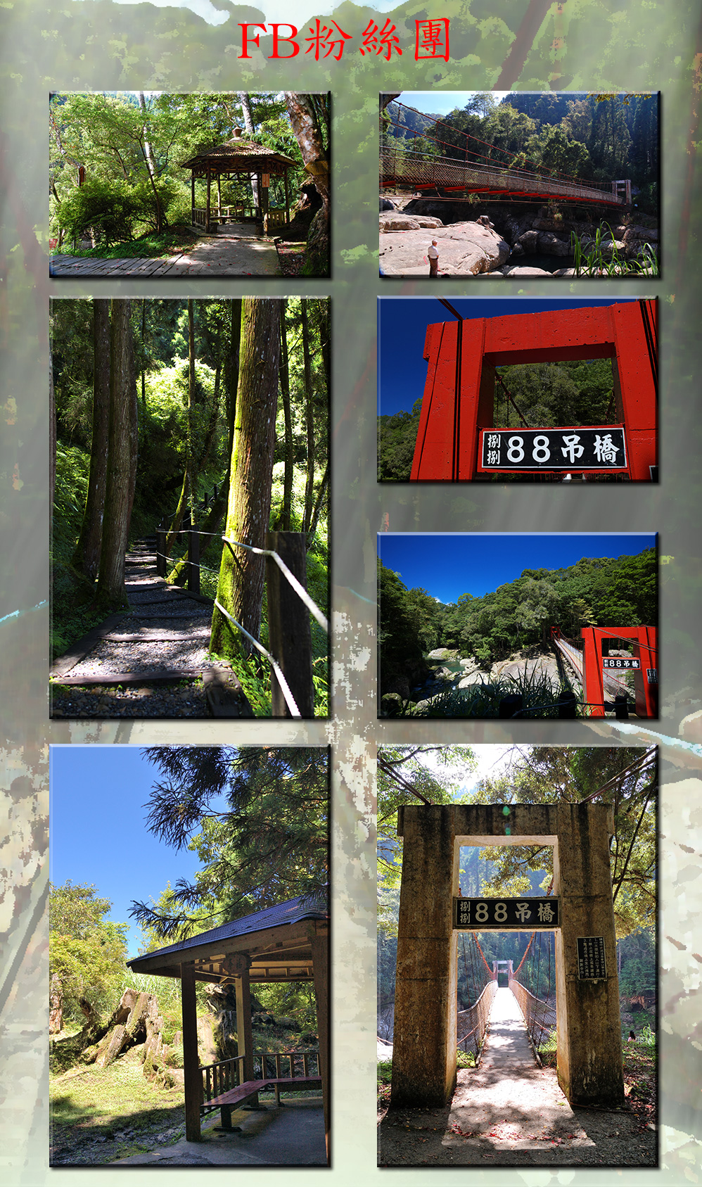 杉林溪為了紀念經歷民國八十八年、西元一九九九
年九二一大地震重創而重建完成的園區，特地石井磯上方
與松瀧岩前分別設立八八吊橋、九九吊橋，做為杉林溪浴
火重生後的歷史見證。20130717
