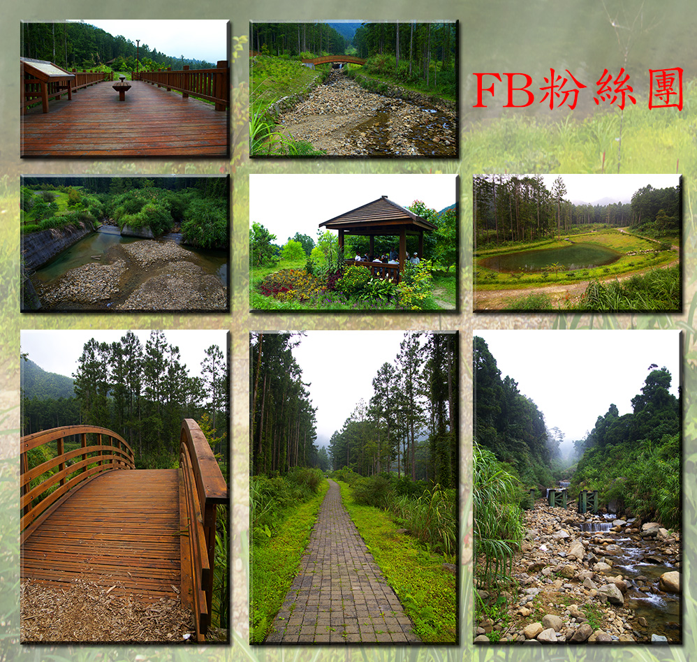     位於溪頭自然教育園區內著名景點大學池附近
的大學坑，在歷經921地震與桃芝颱風的重創，坑
溝崩塌面積將近5公頃，潛在崩塌面積大約有1.62
公頃，崩塌位置對於下方不遠處的溪頭青年活動中
心，造成人身性命安全堪慮。大學坑坑溝由於沿線
的崩積層厚度極長，將近500公尺，因此很可能成為
下一次土石流的發生地點。
    大學坑溝長2500多公尺，坡度陡峭處達90%
，整治時採用就地取材，將原崩塌之大量巨石以 人工乾砌將石塊築成壩或堤防，並且配合地形，
在不易移除巨石之處，構築這些堤壩。不過在源
頭坡度較陡處，為了安全理由，僅在谷口處設置
一梳子壩，以作為未來可能發生土石流時，第一
道擋住巨石的防線。
    在中下游處，則以竹樁壩的方式攔阻砂石，
導覽人員說明，在竹樁壩設置完成後，經過去年
的六九水災，瞬間雨量達600多釐米，而颱風過
後再度勘查時，木樁壩仍完好，災情不大，顯現
大學坑的整治工程發揮功效。 大學坑整治完成未來仍須持續監測與維護，
除了保障溪頭園區遊客之安全的目的外，對於植
生造林和恢復山林原貌，成為復育示範區的功能
亦相當重要。
溪頭大學坑路線有緩坡，走一圈約需要1個小時
左右。20130719
