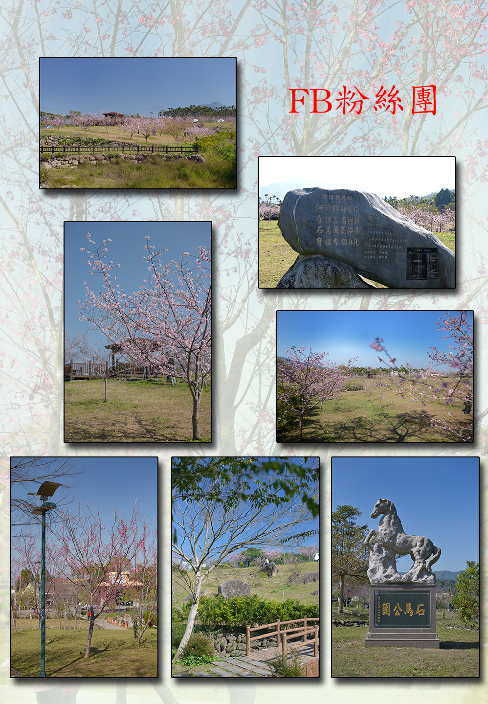 石馬公園是當地推動觀光休閒業轉型，如今已完
全改觀，綠意草園，除了鋪設雅石，並種下
櫸木、梅及櫻等花木，綠草花卉如茵，造就了「
小半天石馬公園」，現在每年櫻花盛開期也成為
有名的賞花必走景點。社區活動場地也大都在此

石馬公園地勢平坦，走起來不費力20130723
